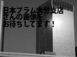 大分市の（株）日本プラム大分支店